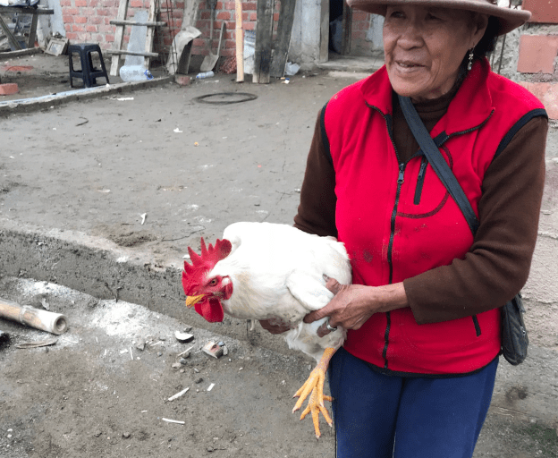 Screen Shot 2018-07-02 at 11.02.00 PM.png