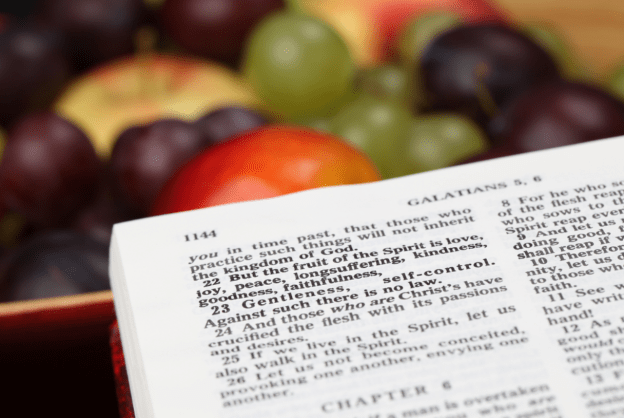 Screen Shot 2020-02-05 at 8.34.44 AM