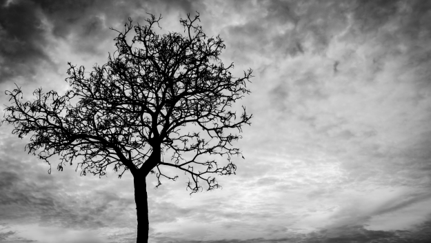 Screen Shot 2020-03-30 at 2.27.31 PM